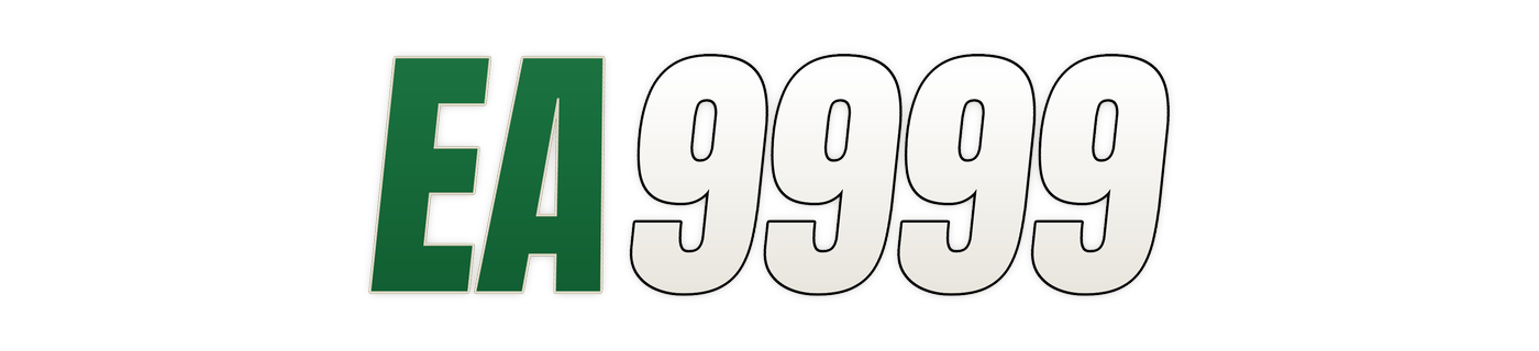 ea9999